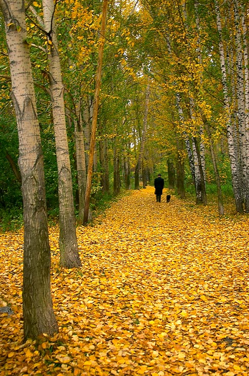 photo "all" tags: landscape, autumn