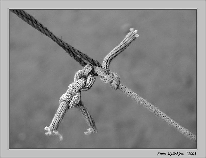 photo "The past and the present of a cord" tags: black&white, macro and close-up, 