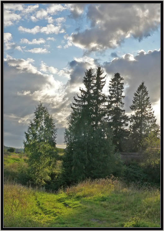 photo "Untitled photo" tags: landscape, forest, sunset