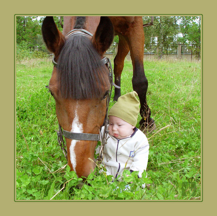 photo "Cowboy_2" tags: portrait, nature, children, pets/farm animals