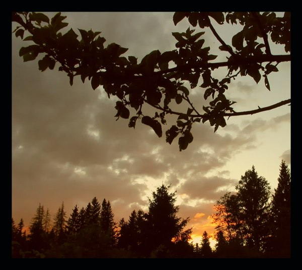 photo "Fire of a decline" tags: landscape, clouds, sunset