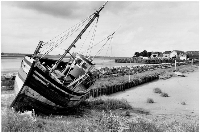 photo "the wreck" tags: still life, 