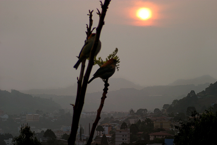 photo "Sunset in Videira" tags: landscape, winter