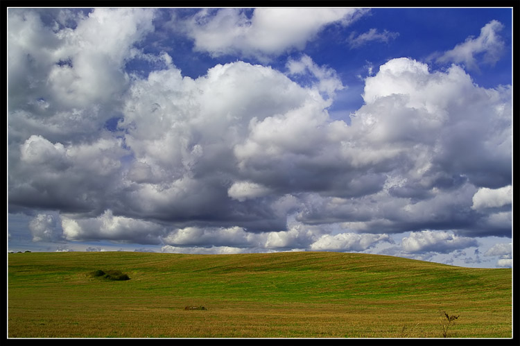 photo "Simple field" tags: landscape, autumn