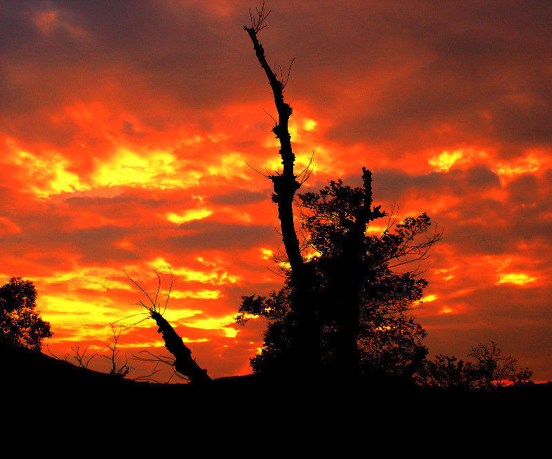 photo "Огонь в небо/Fire in the sky/" tags: landscape, sunset