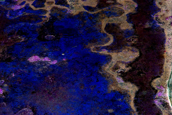 photo "CARIBEAN BEACH" tags: abstract, macro and close-up, 