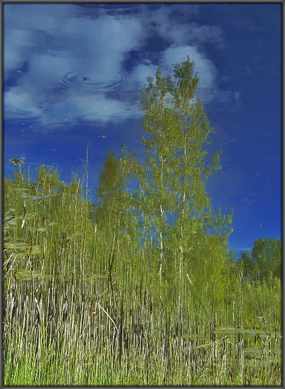 photo "Summer water-color #1" tags: landscape, summer, water