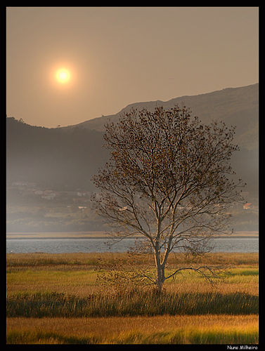 фото "September morning" метки: пейзаж, закат