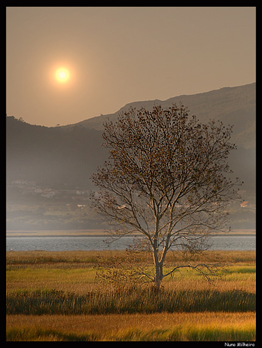 photo "September morning" tags: landscape, sunset