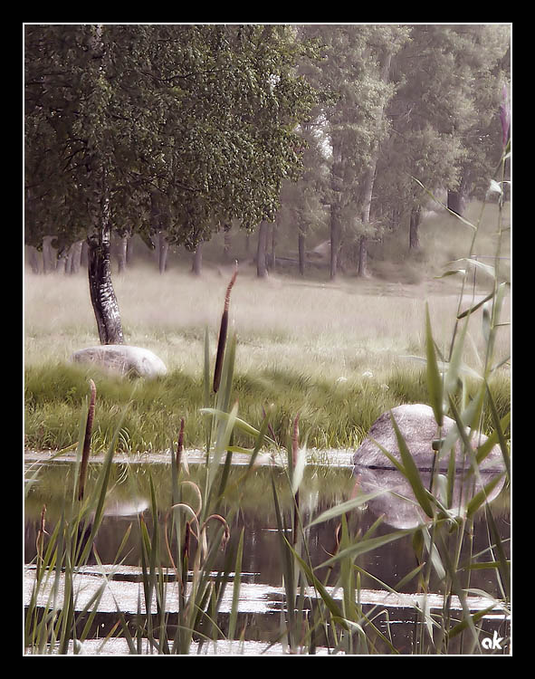 photo "Old Pond" tags: landscape, forest, water