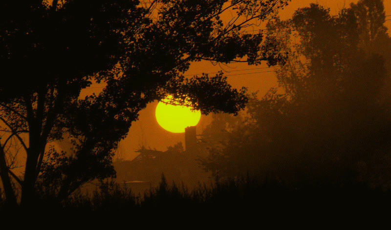фото "Sunrise in the fog" метки: пейзаж, закат