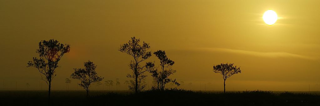 фото "Morning Sunrise" метки: пейзаж, закат