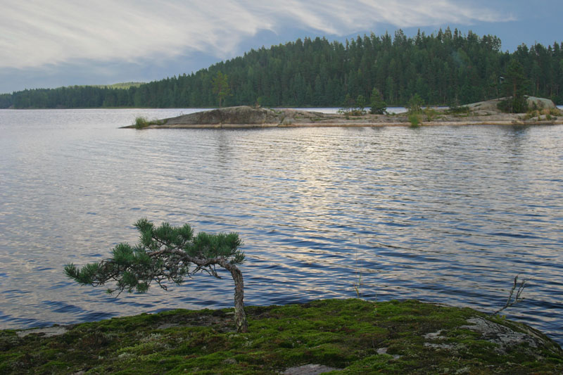 фото "Lake in Rakkolahti" метки: пейзаж, вода