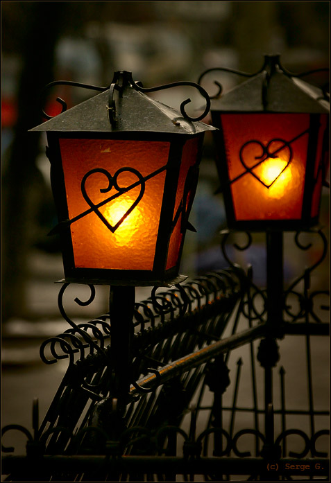 photo "Enamoured" tags: genre, abstract, 