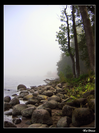 photo "Mist..." tags: nature, flowers