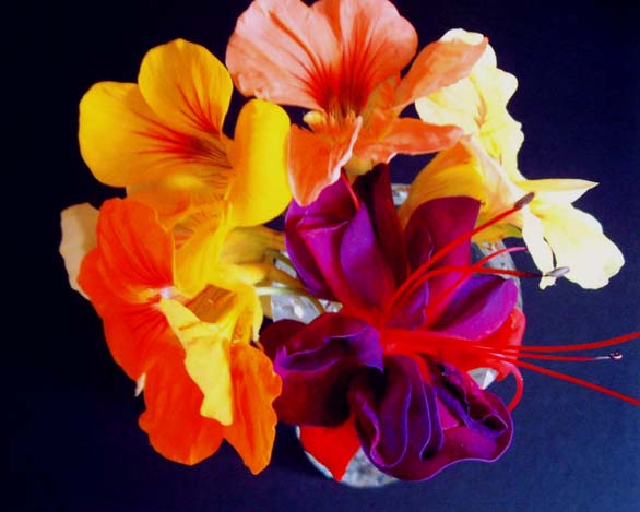 фото ""Bouquet"" метки: макро и крупный план, природа, цветы