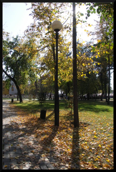 photo "Day, street, lantern" tags: landscape, autumn