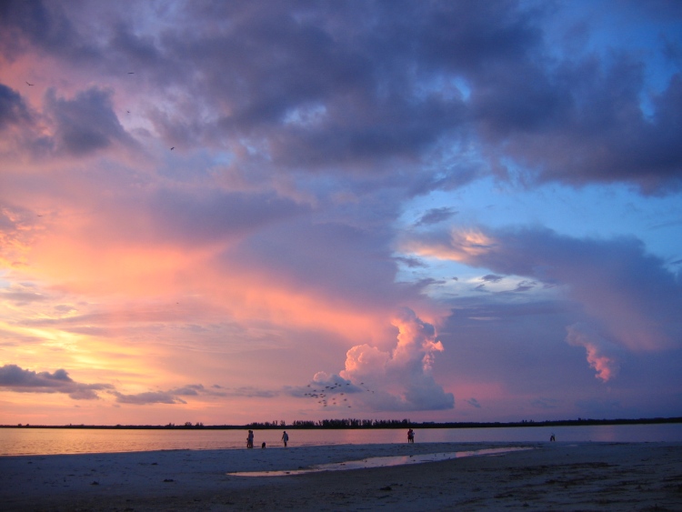 photo "Punta Rassa Sunset" tags: landscape, sunset