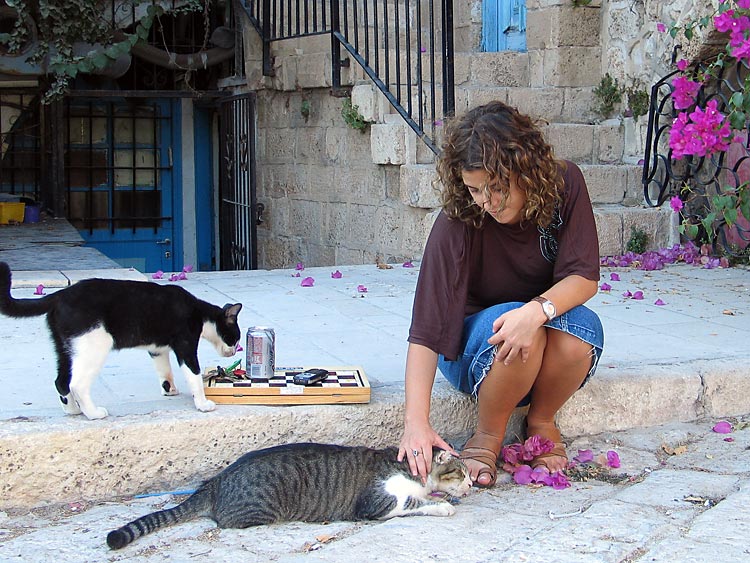 photo "Let's play a chess?" tags: genre, humor, 