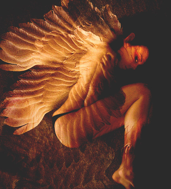 photo "firebird" tags: misc., 