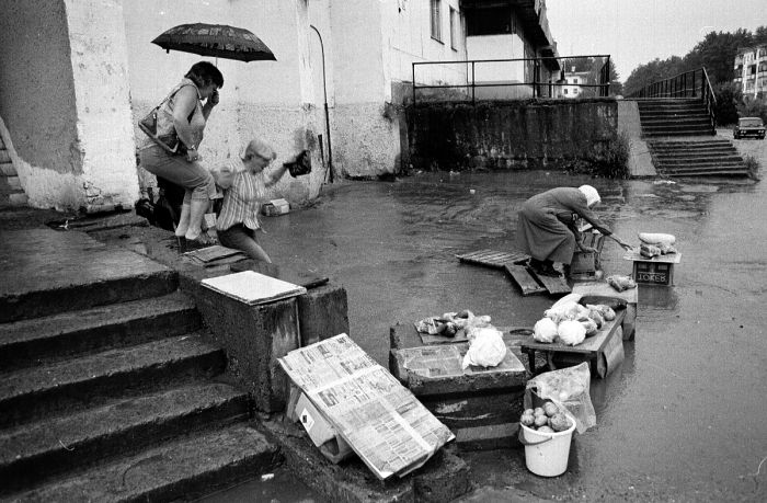 photo "Rescue of a vegetables" tags: black&white, genre, 