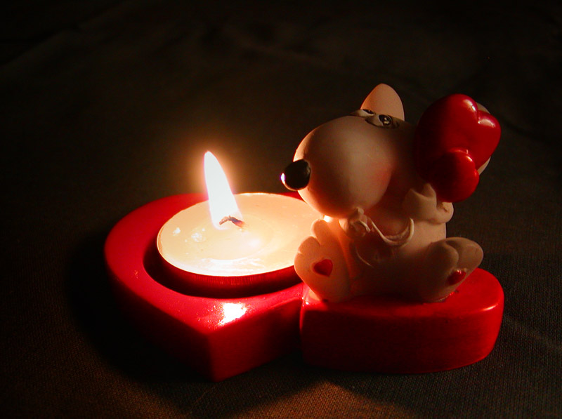 photo "Little mouse in love" tags: misc., 
