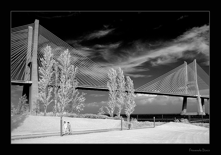 photo "Under of bridge" tags: architecture, black&white, landscape, 