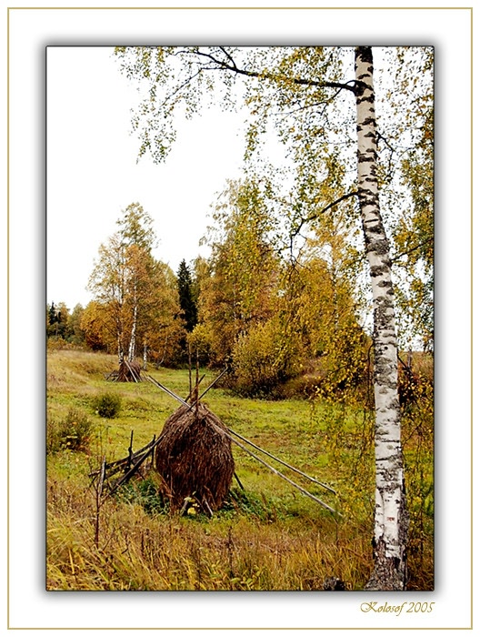 фото "Осень" метки: пейзаж, природа, осень, цветы