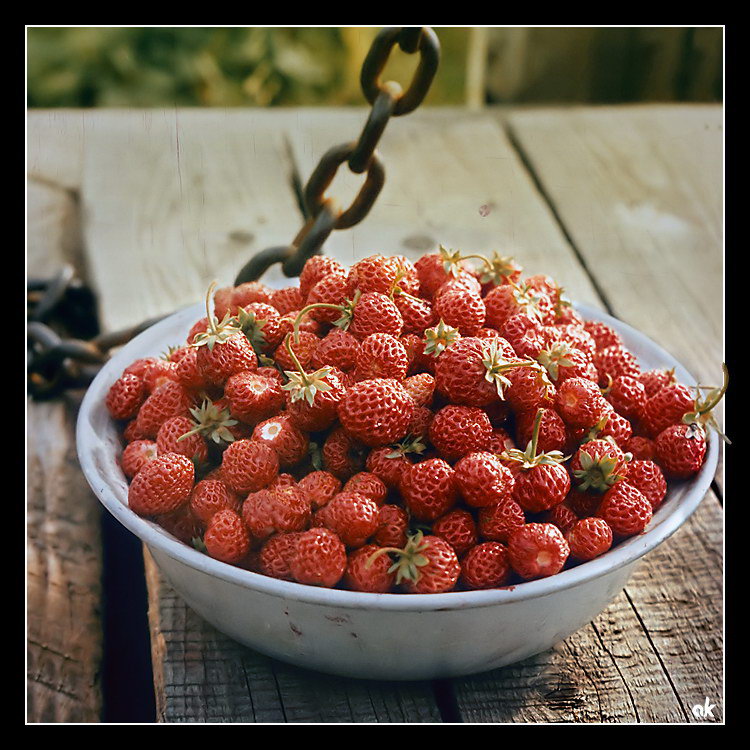 photo "Harvest" tags: still life, 