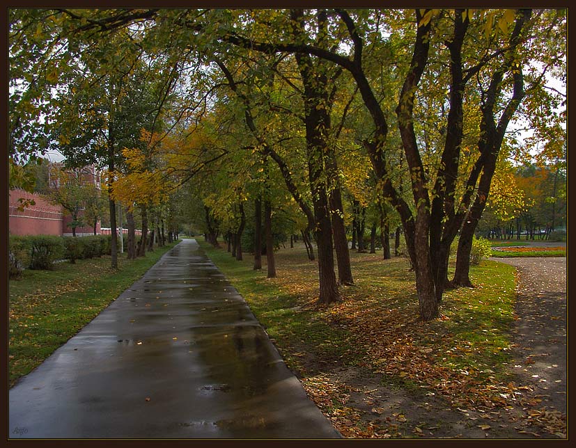 photo "Moscow autumn" tags: landscape, autumn