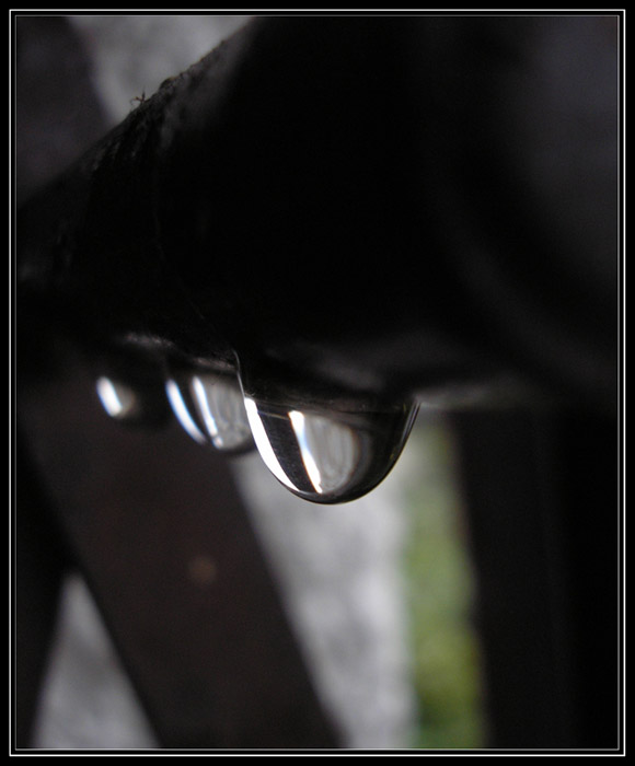 photo "Like a Drop" tags: macro and close-up, technics, 