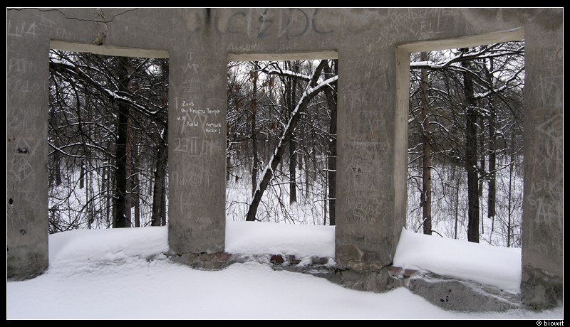 фото "Внутри" метки: разное, пейзаж, лес