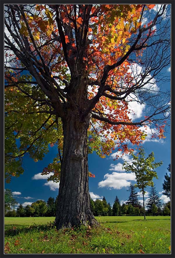 photo "In the Beginning" tags: landscape, autumn, clouds