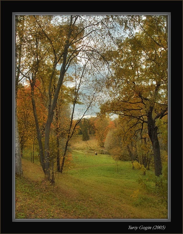 photo "Ode autumn" tags: landscape, autumn, forest