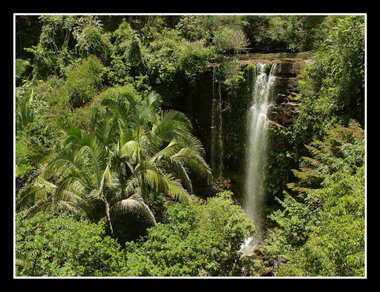 photo "Forest and Waterfall" tags: landscape, travel, South America, forest