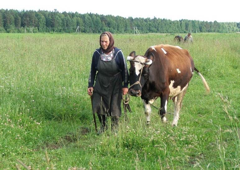 photo "At the end of the working day" tags: genre, nature, pets/farm animals