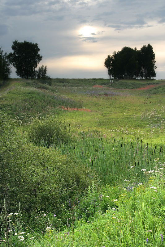 photo "Somewhere Out of Town" tags: landscape, summer, sunset