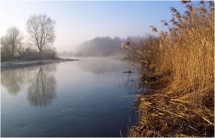 photo "The nightingales will fly only in one month..." tags: landscape, spring, water