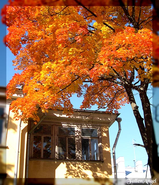 photo "the house in fire" tags: landscape, autumn