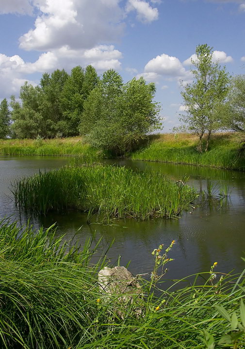фото "Астраханский пейзаж..." метки: пейзаж, природа, лето