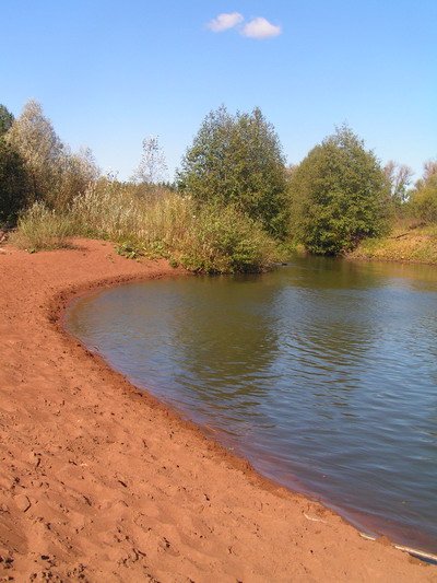 photo "near the river" tags: landscape, summer