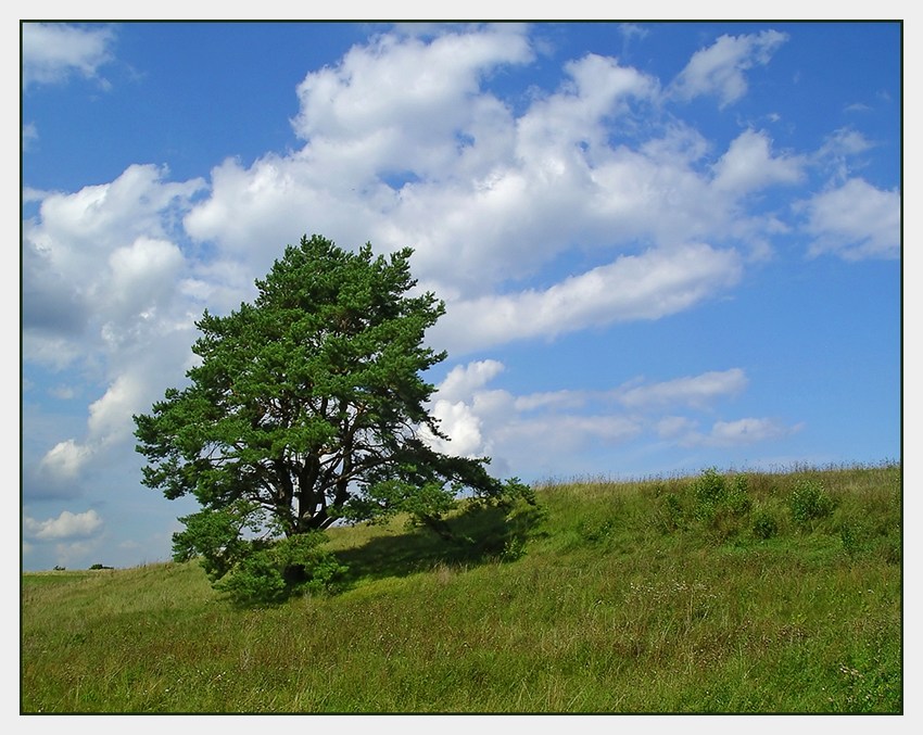 photo "***" tags: landscape, summer