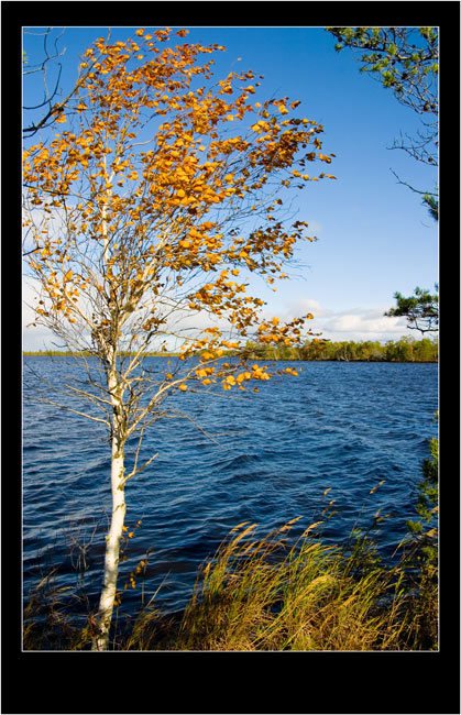 фото "Осень" метки: природа, 