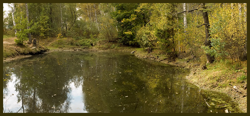 photo "Autumn pond" tags: landscape, autumn