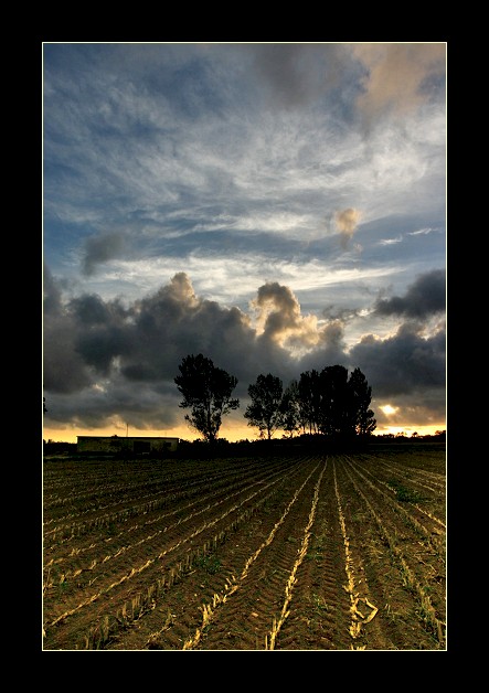 photo "Harvested" tags: landscape, autumn, clouds