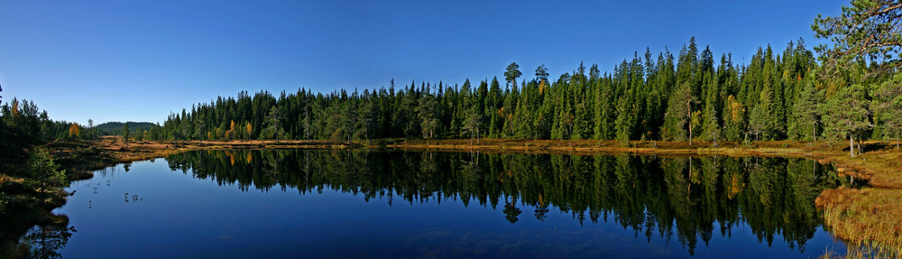 фото "Fall reflection" метки: пейзаж, осень