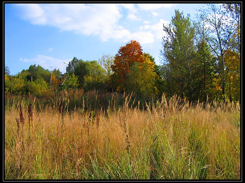 фото "Осенний колорит" метки: пейзаж, природа, осень