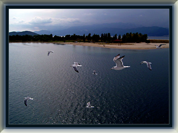 photo "fly" tags: landscape, summer, water