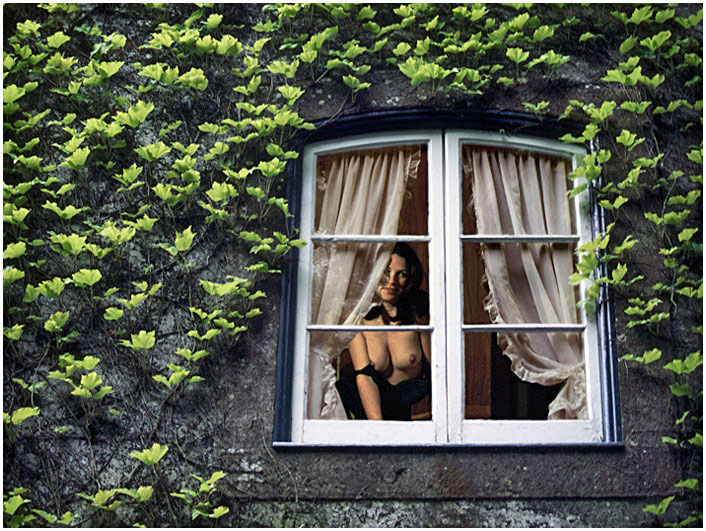 фото "Unwise window" метки: техника, ню, 