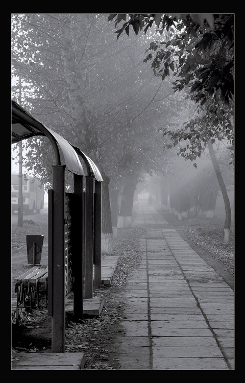 photo "Sidewalk" tags: black&white, landscape, autumn